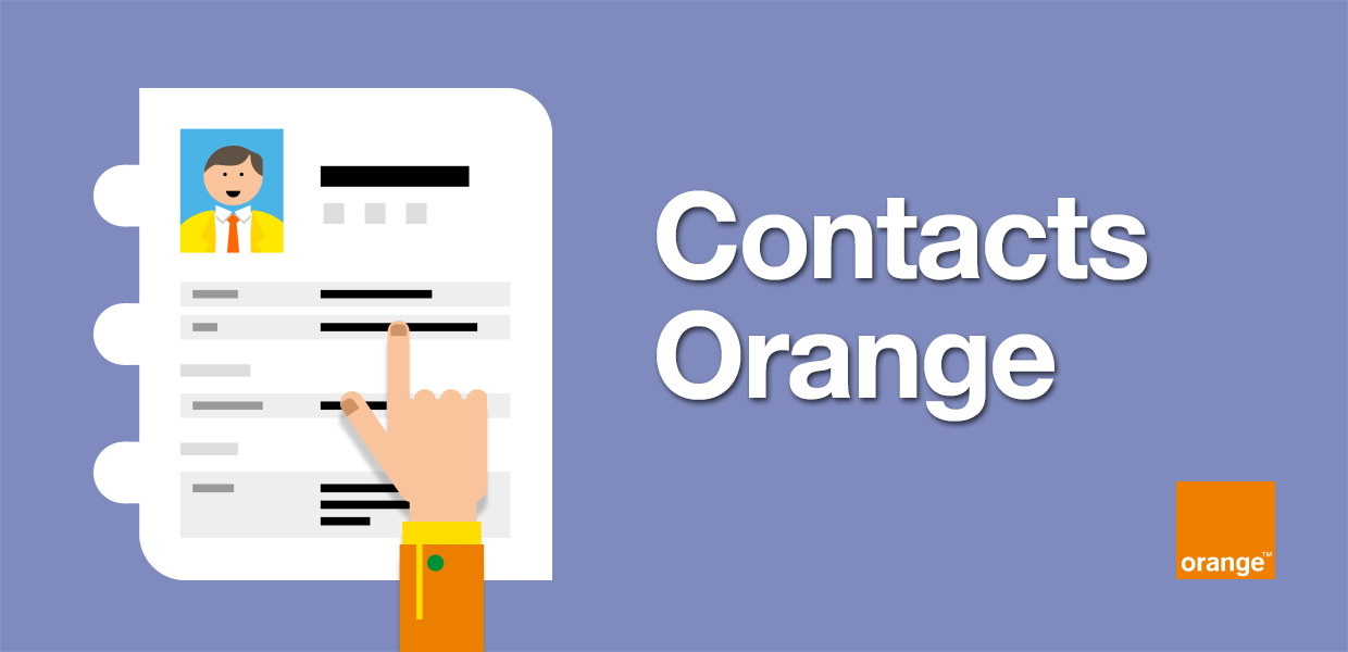 Contacts Orange